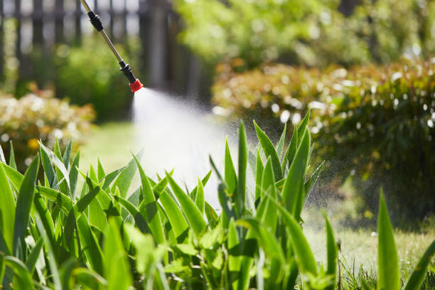 Tamper-Resistant Bait Stations for Rodents in Edinburg