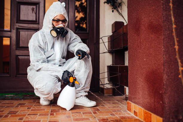 Attic and Crawl Space Rodent Treatment in Edinburg